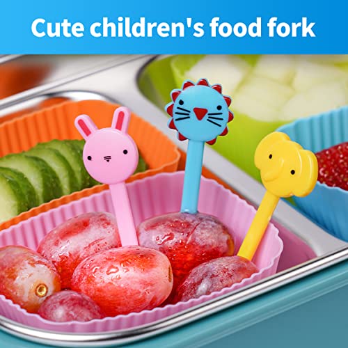 Doiaz Silicone Bento Box Set with Dividers & Food Picks - 52 Pack