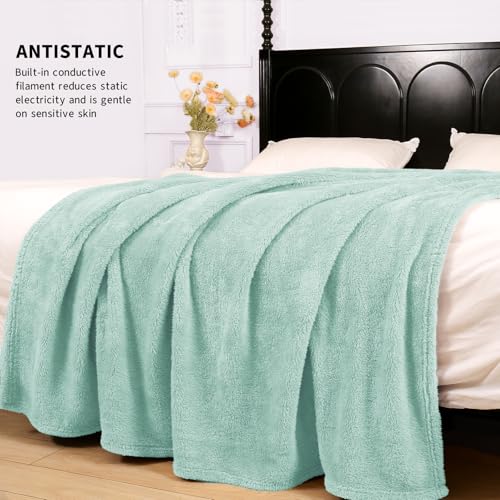 Felesha Fingal Aqua Plush Fleece Throw Blanket 50x60 Inches Cozy Couch Bed