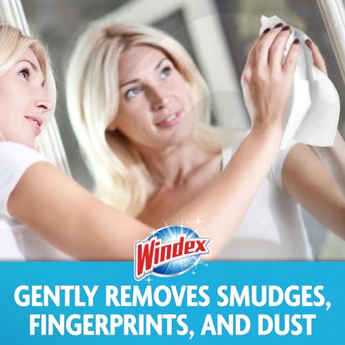 Windex Glass & Surface Cleaning Wipes, Original Scent, 38 Count (Pack of 12)