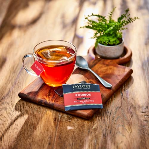 Taylors of Harrogate Rooibos Tea, Caffeine-Free Herbal Infusion, 40 Count