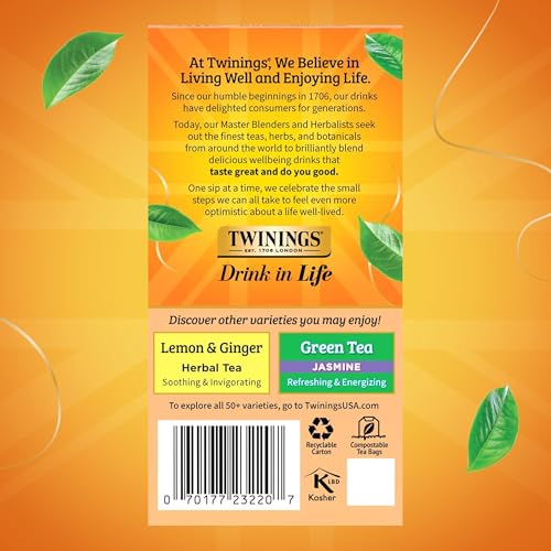 Twinings Peach & Orange Herbal Tea Bags, 20 Count (Pack of 2) - Caffeine-Free & Fruity