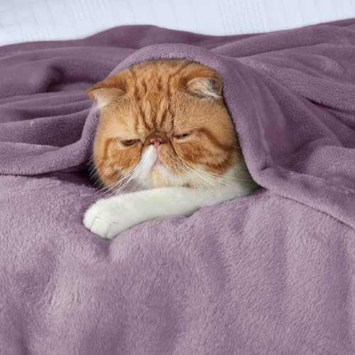 Bedsure Lavender Queen Size Fleece Blanket 90x90 Inches Cozy Lightweight Plush