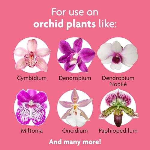Miracle-Gro Orchid Plant Food Spikes - 10 Fertilizer Sticks for Indoor Orchids