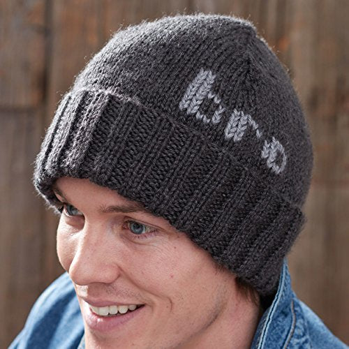 Caron Simply Soft Heathers Yarn, Charcoal Heather, 5 oz - 1 Ball