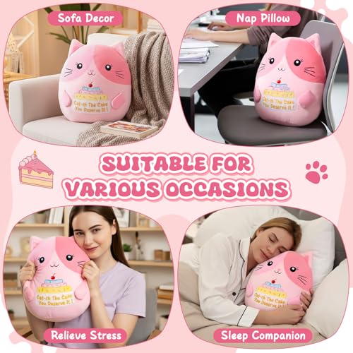 12 Inch Pink Cat Plush Pillow - Cute Stuffed Animal with Motivational Quote