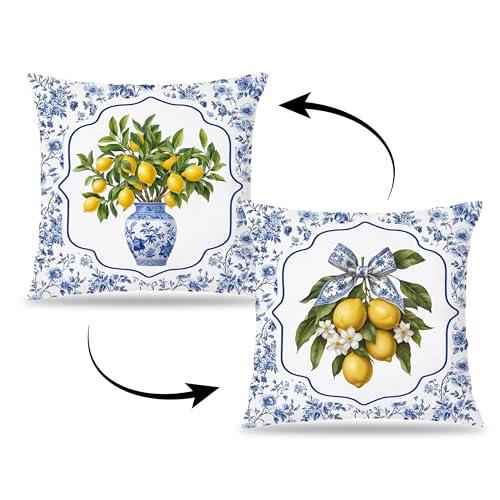 Chinoiserie Lemon Throw Pillow Cover 18x18 - Flannel Decorative Cushion