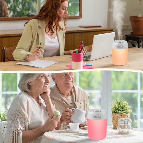 BAMCOO 650ml Indoor Plant Humidifier - Portable USB Mini Mist with LED Light, Light Grey