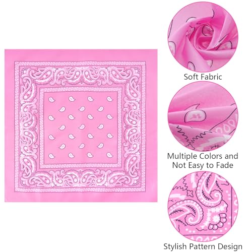 Pink Mini Cowgirl Hat Headband with Bandana Western Costume Set