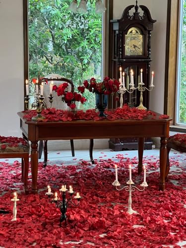 100g Dried Red Rose Petals for Weddings, Crafts & Baths