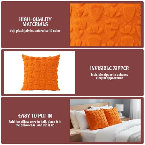 Easter Carrot Pillow Covers Set of 2 - 18x18 Inch Holiday Decor
