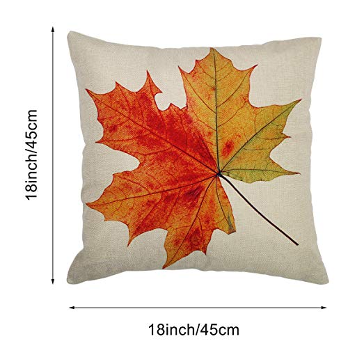 Coitak 18-Inch Fall Pillow Covers, Maple Leaves Design - 2 Pack