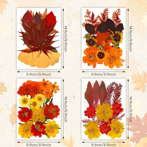 Fall Dried Pressed Flowers and Leaves for DIY Crafts - 72 Pieces