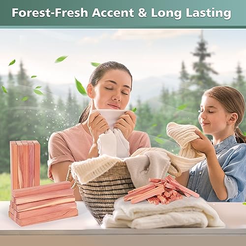 UNIVIVO 50 Pack Aromatic Red Cedar Wood Sticks for Closet & Drawer Freshening