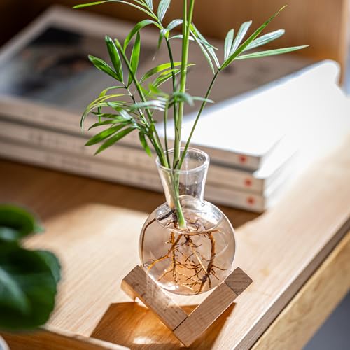 Hydroponic Propagation Station with Wooden Stand - Glass Bulb Vases