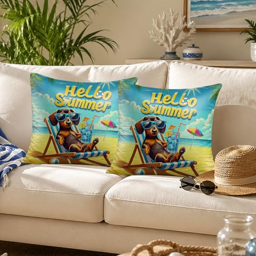 Summer Dachshund Beach Chair Throw Pillow Covers - Set of 2, 18x18