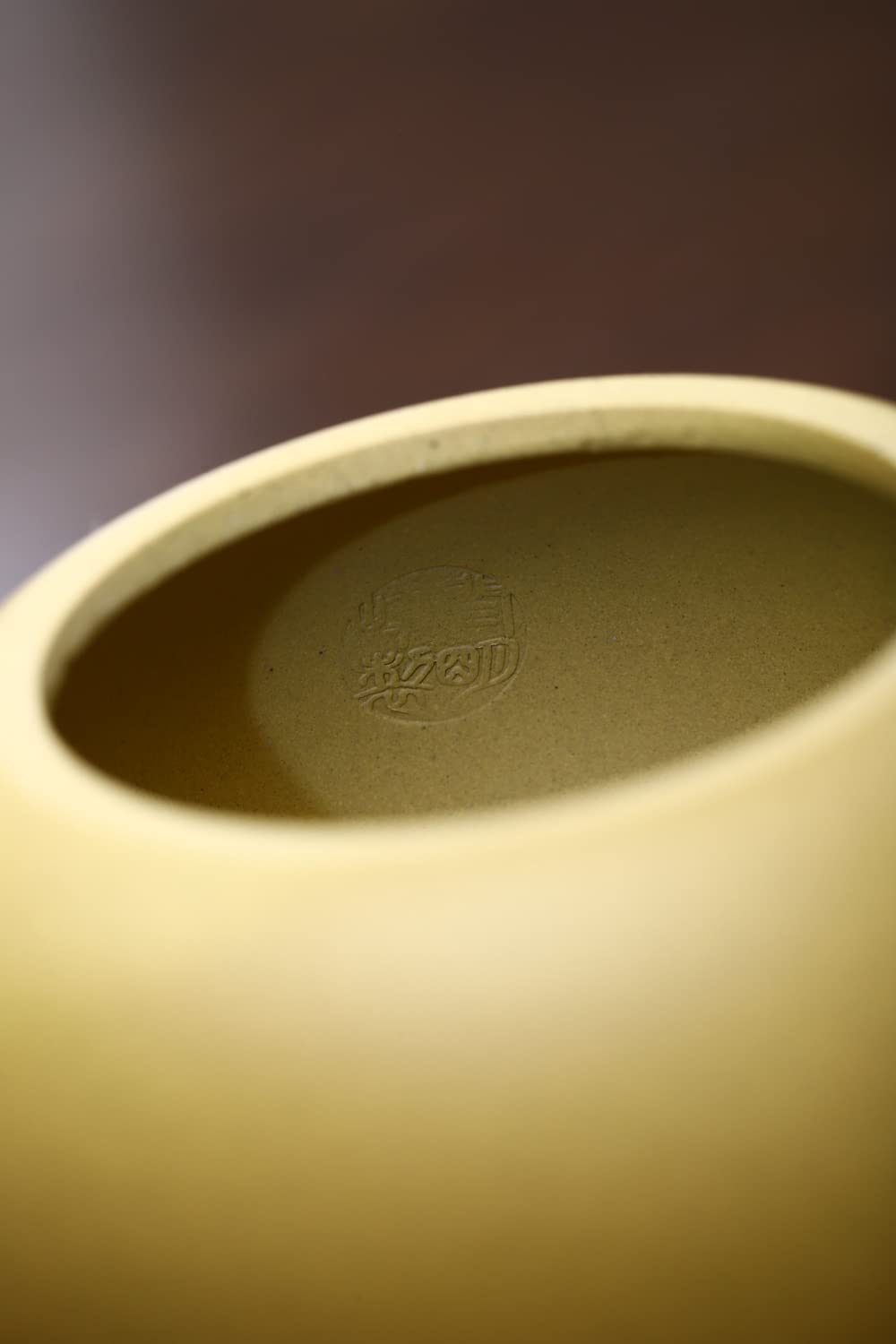 Xishi Teapot 15oz Chinese Zisha Clay Pot Ceramics Purple Sand Mud Kungfu Tea Set Kettle 9 Hole Filter (Yellow 450ml)