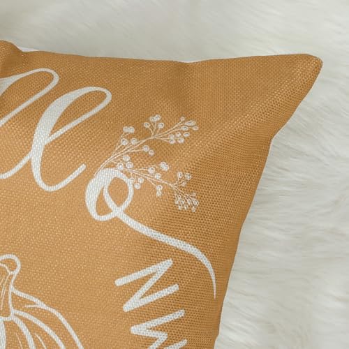 COZZSNUGE Fall Pumpkin Throw Pillow Covers, 18x18 Set of 4 (Pumpkin-3)