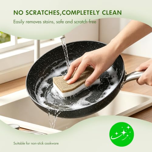 SetSail Biodegradable Kitchen Sponges - 12 Pack Eco-Friendly Dish Cleaners