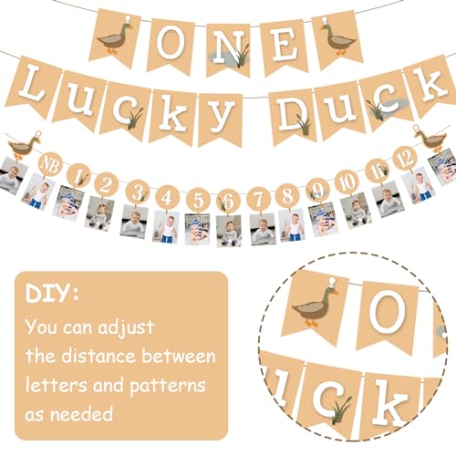 One Lucky Duck Birthday Party Decorations Set for 1st Birthday