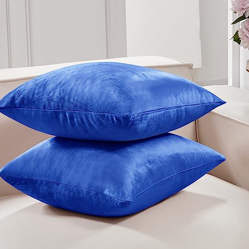 Deconovo Velvet Throw Pillow Covers | 24x24 Inch, 2 Pack, Soft Royal Blue