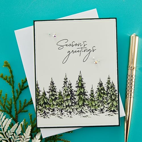 Spellbinders BP-073 Seasons Greetings Evergreens Press Plate & Die Set from The More BetterPress Christmas Collection