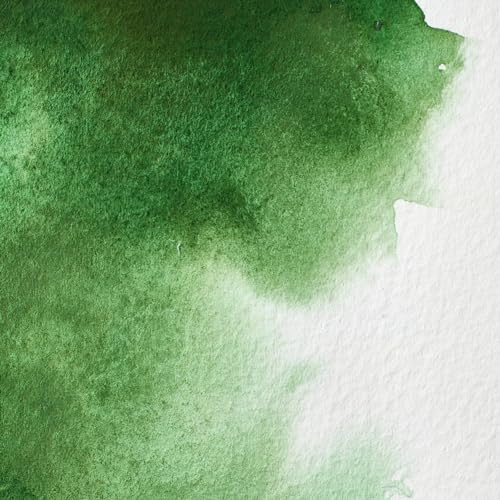 Winsor & Newton Professional Watercolor, 14ml Tube - Hooker's Green