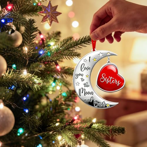 Sister Ornament - Heartfelt Sister Gift for Christmas, Birthday, Wedding - Variation: Sister