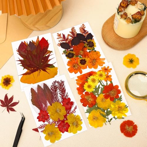 Fall Dried Pressed Flowers and Leaves for DIY Crafts - 72 Pieces