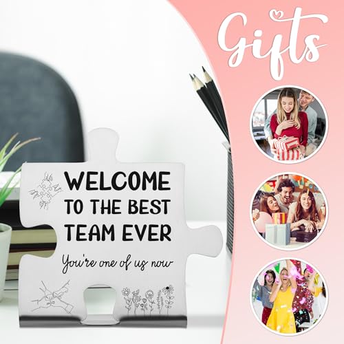 Welcome to the Best Team Ever Stainless Steel Desk Plaque