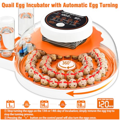 ONKO Automatic Quail Egg Incubator with Humidity & Egg Turning