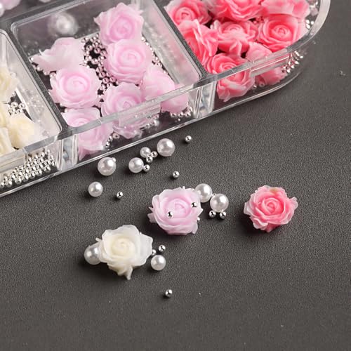 FSpronail 3D Resin Rose Camellia Flower Nail Art Charms 2 Boxes