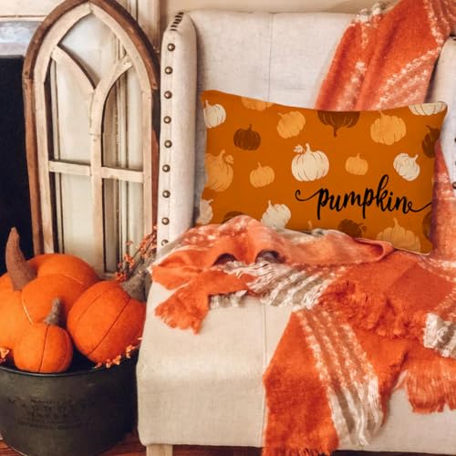 RABUSOFA Rust Orange Pumpkin Lumbar Pillow Cover, 12x20 Inch Fall Decor