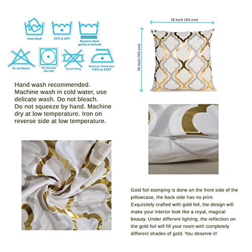 Shades of Freyja W77 Gold & White Velvet Pillow Covers - 18x18 Set of 2