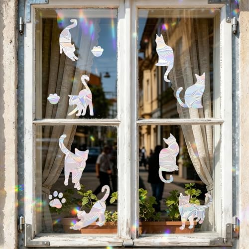 Reusable Hummingbird Window Clings to Prevent Bird Strikes
