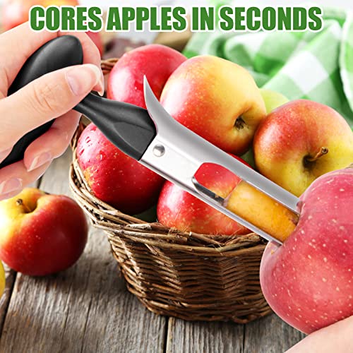 Premium Stainless Steel Apple Corer Tool with Ergonomic Handle