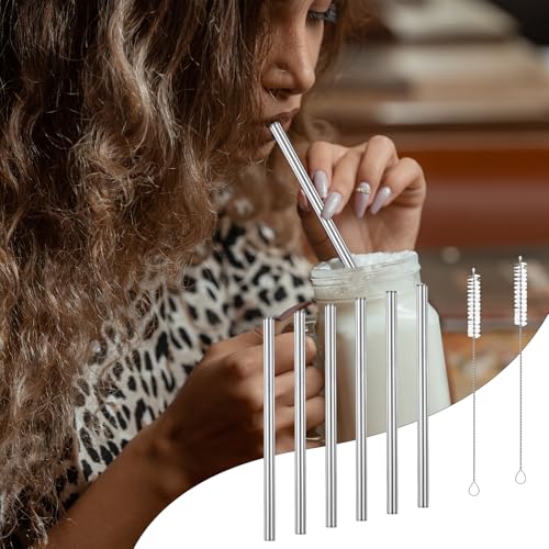 Reusable Stainless Steel Straws - 6 Pack with Cleaning Brushes