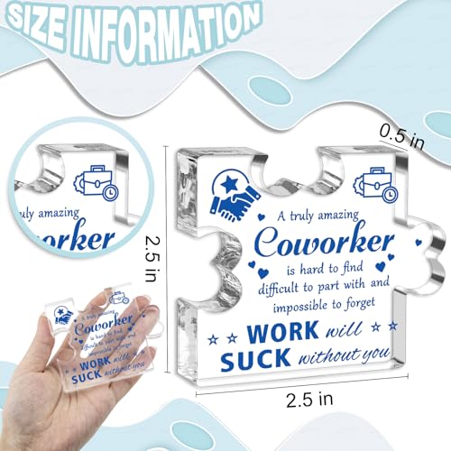 Inspirational Farewell Plaque Gift for Coworkers | Clear Acrylic Keepsake