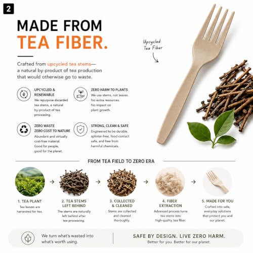 Zero Era Compostable Forks, 10 Count - Plant-Based & Plastic-Free