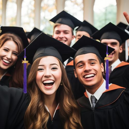 Purple Graduation Tassel 2026 - High-Quality Cap Decoration