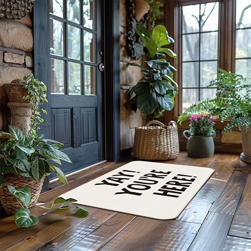 Udinaz Funny Welcome Doormat - You're Here Entrance Mat, Indoor Outdoor, 17x30 Inches, Variation 9