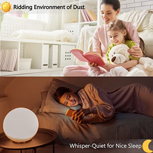 Replacement Filter for Portable Mini Air Cooler Humidifier