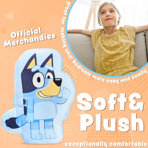Bluey 3D Plush Pillow for Kids - Soft Cuddle Sham & Gift