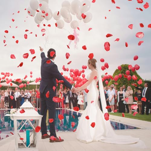 500 PCS Artificial Red Rose Petals for Romantic Wedding and Proposal Decor