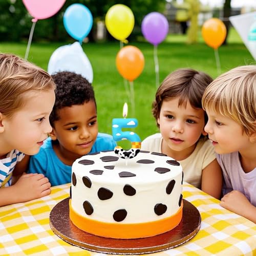 Number 0 Birthday Candle, Blue and White Cake Topper for Party Decorations