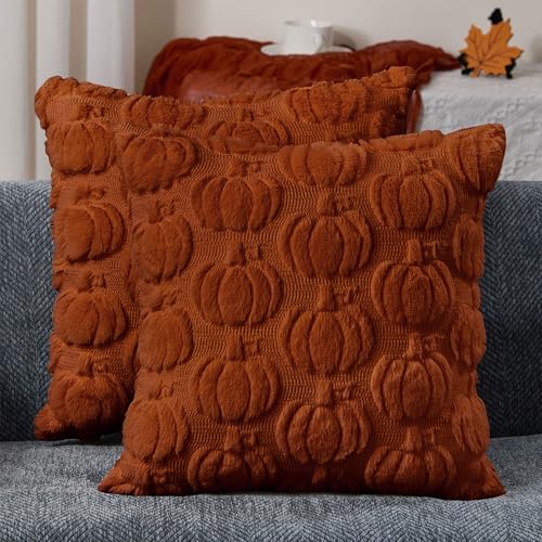 DFXSZ Rust Fall Pumpkin Throw Pillow Covers, 18x18 Soft Plush Set of 2