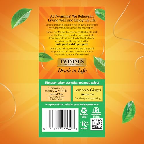 Twinings Decaffeinated Green Tea Bags - 20 Count (6 Pack) - Smooth & Fresh Taste