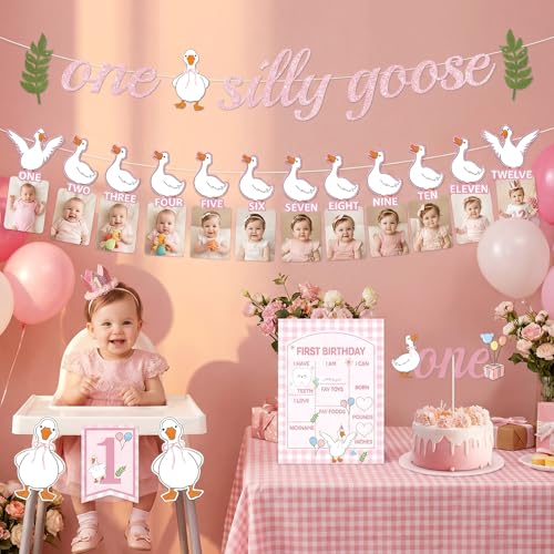 Silly Goose First Birthday Decor Set for Girls - 4 PCS