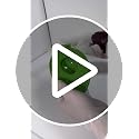 Avocado Keeper - Reusable Fresh Saver Container for Optimal Storage