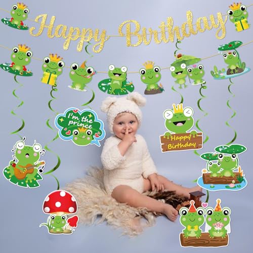 Frog Birthday Party Decorations Set with Glitter Banner and Hanging Swirls