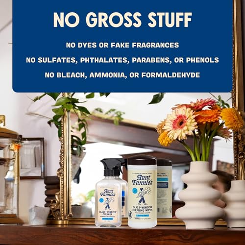 Aunt Fannie's Glass & Window Cleaning Bundle with Spray and 2 Wipes